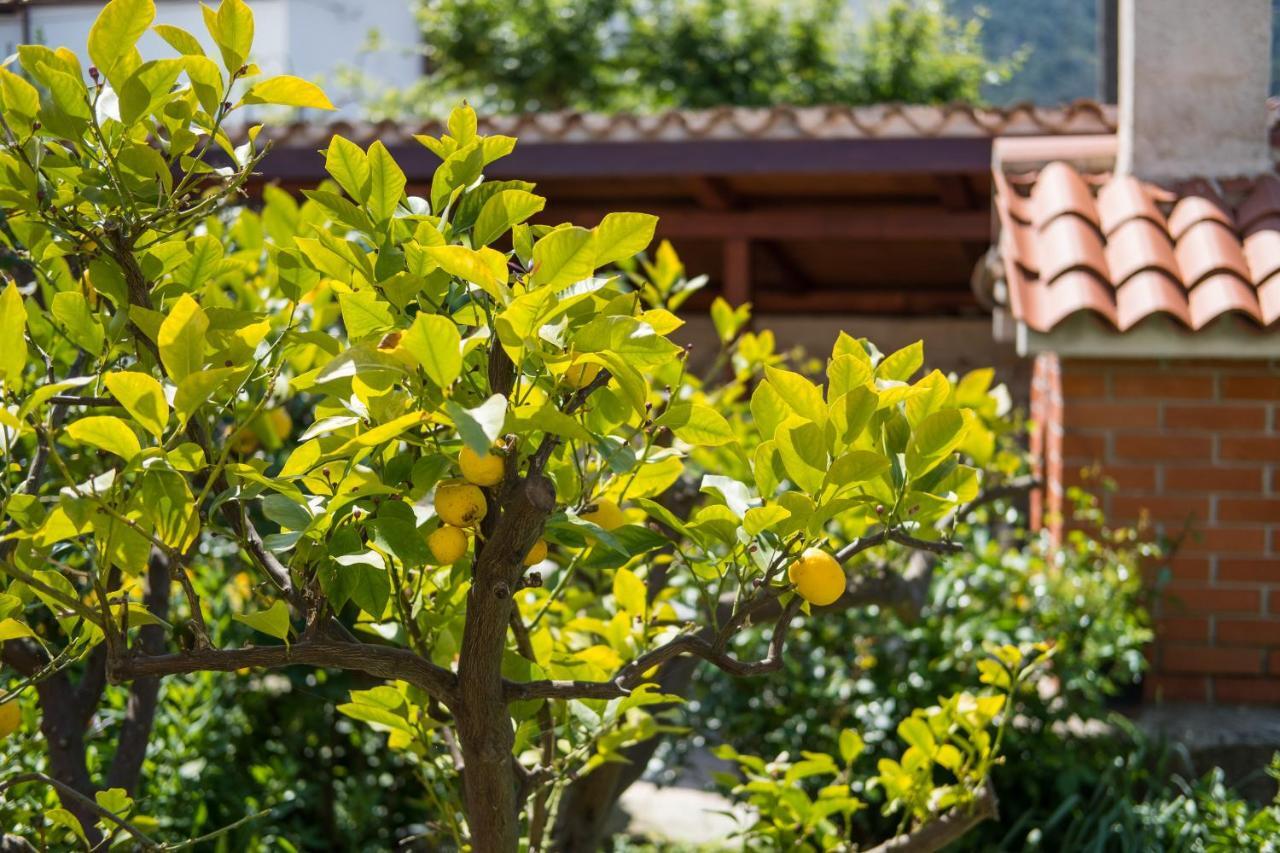 Apartman Corino Veli Lošinj Exterior foto